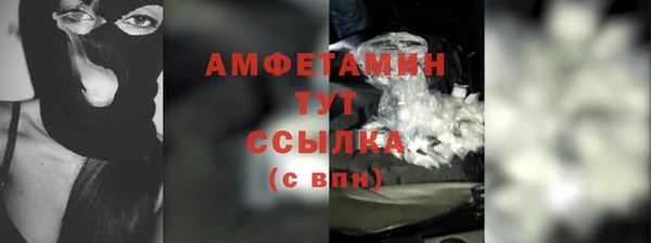 прущие грибы Абаза