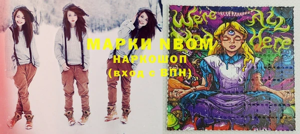 прущие грибы Абаза