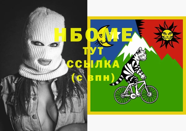 прущие грибы Абаза