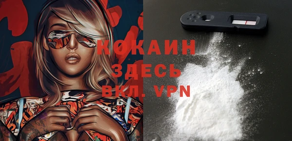 прущие грибы Абаза