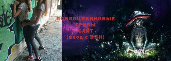 прущие грибы Абаза