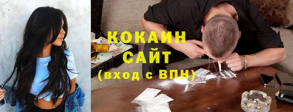 прущие грибы Абаза