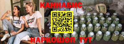 стафф Ставрополь