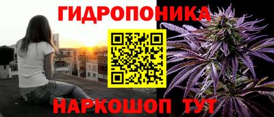 стафф Ставрополь