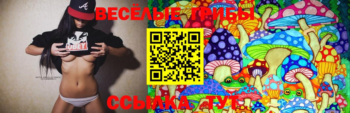 сколько стоит  Псилоцибиновые грибы GOLDEN TEACHER  Вход с VPN  Сафоново 