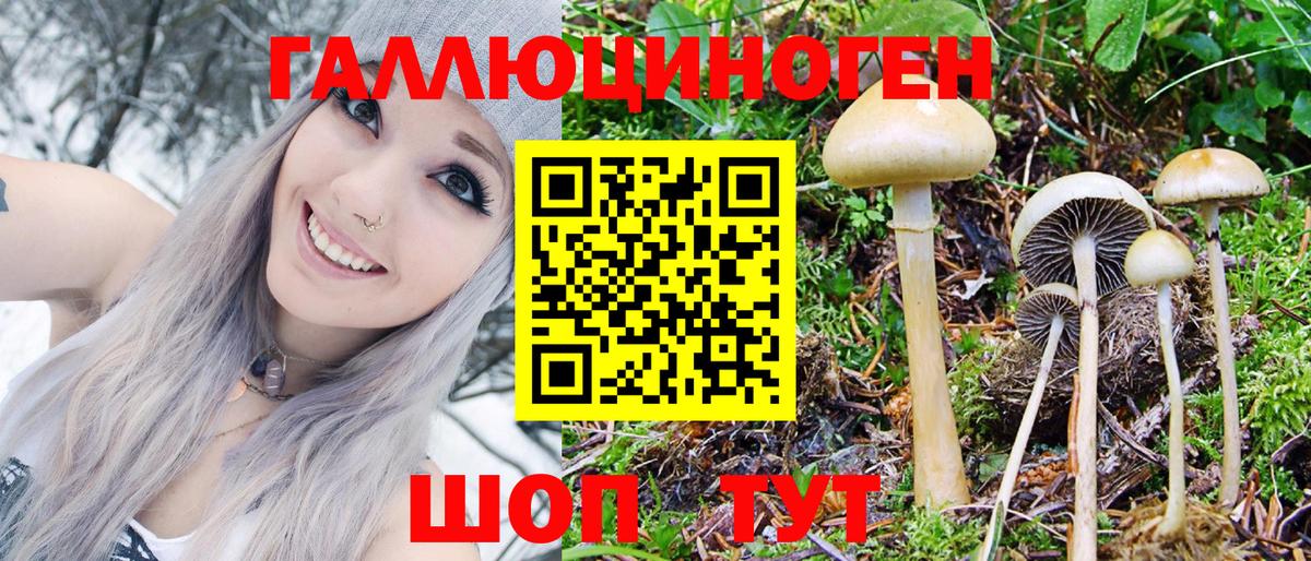 Псилоцибиновые грибы ЛСД Сафоново